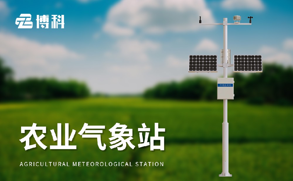 1714123268817016.jpg 3.jpg