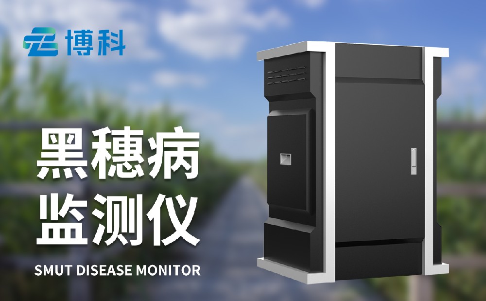 玉米黑穗病監測儀